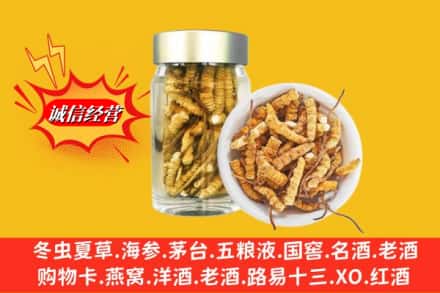 新都区名酒回收散虫草.jpg