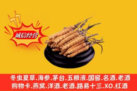 新都区名酒回收冬虫夏草.jpg